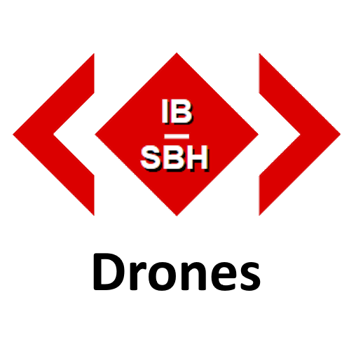 IB‑SBH company logo